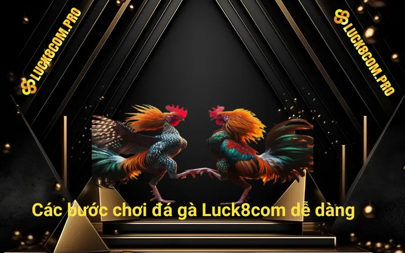 Các bước chơi đá gà Luck8com dễ dàng