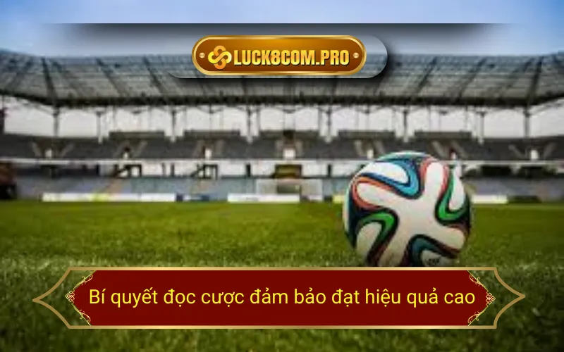 Bí quyết đọc cược đảm bảo đạt hiệu quả cao