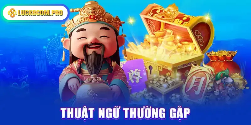 Thuật ngữ thường gặp